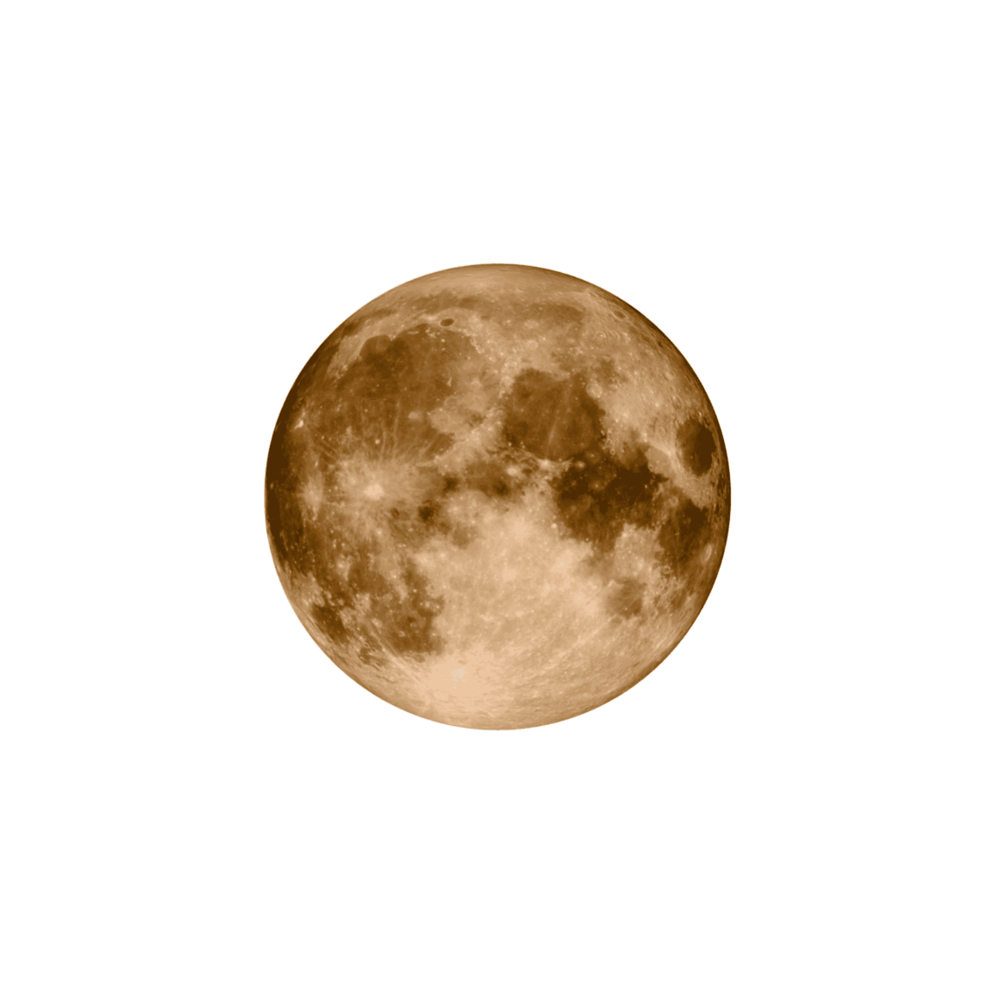 Mission to the Moon - Moonshine™ Gold - VELCRO© Strap. - OM Luxury
